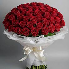 Букет 101 Красная роза Блэк Мэджик в Новомышастовской