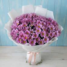 Букет цветов из:  Хризантемы в Новомышастовской