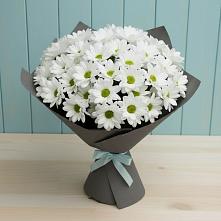 Букет цветов из:  Хризантемы в Новомышастовской