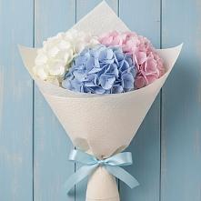 Букет цветов из:  Гортензия в Новомышастовской