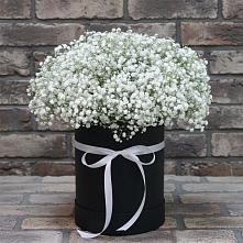 Цветочная композиция из Гипсофила в шляпной коробке в Новомышастовской